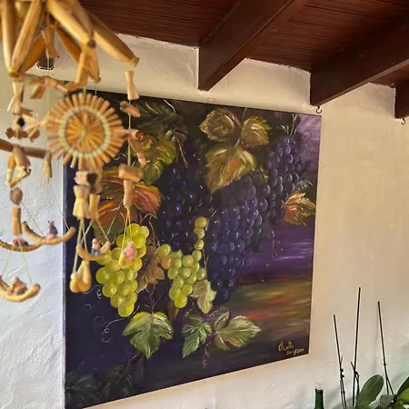 Jazmines Сasa de vacaciones Agaete (Gran Canaria)